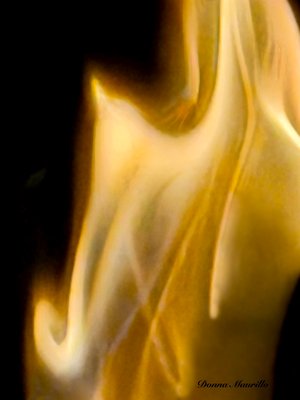 Dance of the Seven Veils by Donna Maurillo