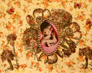 "Genesis" by Marilyn L. Robinson (2026)