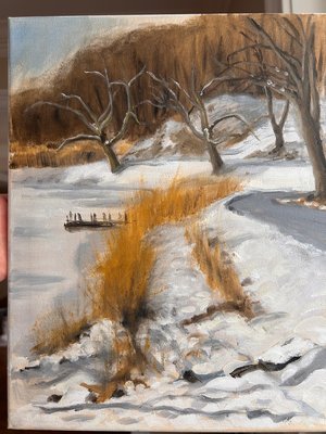 Frozen pond in Ossining by Elise Prebin (2026)