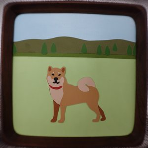Shiba at the Park by Daniel Menezes