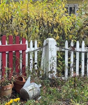 Front Yard by Victor Messick (2025)