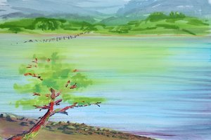 Hwy19a Fanny Bay Algae Bloom by Susy-J.ca Johnsen (2024)