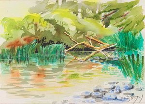 Hwy19a Log Jam on Nile Creek by Susy-J.ca Johnsen (2024)