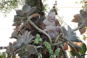 Flower Buddha #3 by Randy Baker (2025)