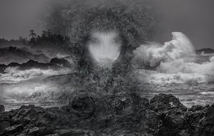 kelly Thomas — portfolio