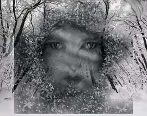Guardian of the Winter Forest by kelly Thomas