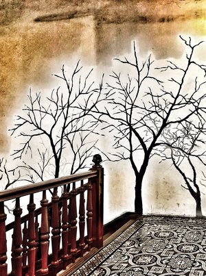 Tree lit staircase by Constance Briones (2026)