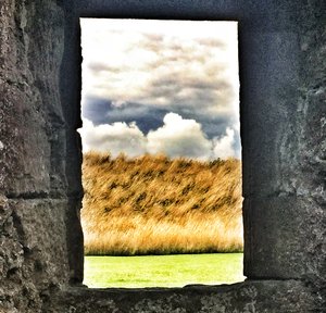 Castle Window by Constance Briones (2026)