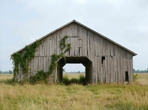 Untitled by Nathan Ramirez
