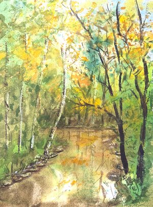 Suddenly Fall by elizabeth semple (2026)