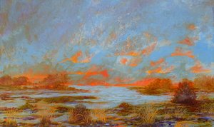 Sue Busby