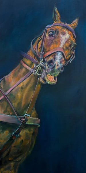 Just Comply by Caitlin Rantala