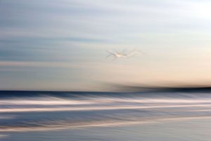 In Flight by Doug Hockman