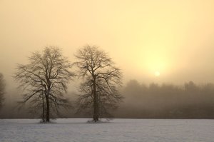Winter Solstice by Doug Hockman