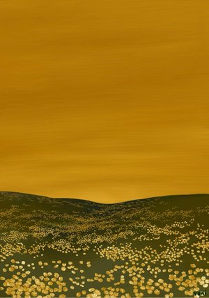 Where will I find the sun by Toni Hisako (2025)