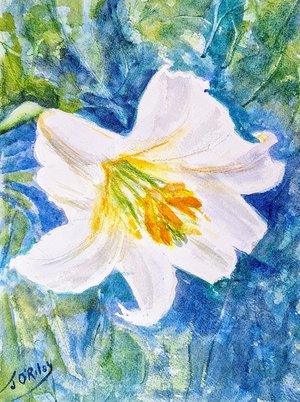 Delicate by Jan O'Riley (2026)