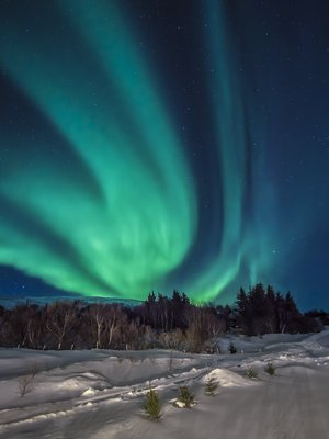 Emerald Aurora Veil, Reykholt, Iceland by Holly Jansen