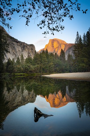Half Dome Golden Reflection, Yosemite National Park by Holly Jansen