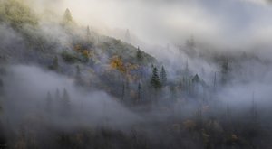 Valley in the Mist, Yosemite National Park, CA by Holly Jansen