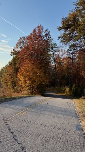 Autumn Road by Third South Test Account (2025)