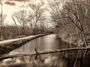 C&O Perspective...solitude on a winter's morning by Francis Sullivan