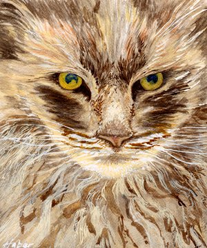 The Feline by Beverly Haber (2025)