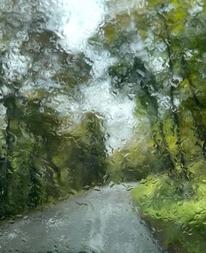 The Rainy Winding Road by Rosalie Acinapura (2023)