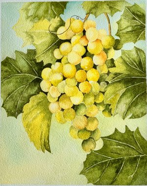  Vineyard Bouquet  by Rebecca Turner