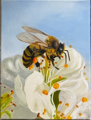 Little Bee in My Backyard by Rachna Jain (2026)