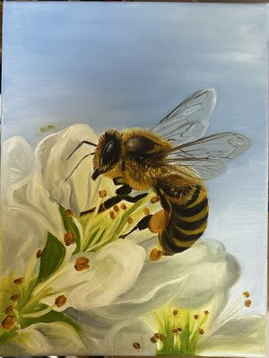 Little Bee Found A Friend by Rachna Jain (2026)