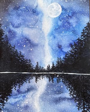 Patti LeVan Forest Nights by Patti LeVan (2026)