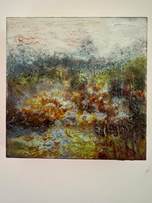 IMG_2440 Vernal Pool by Ellen Anderson