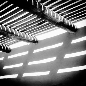 Light Form 13 by Susan Hacker Stang (2023)
