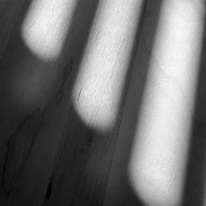 Light Form 12 by Susan Hacker Stang (2026)