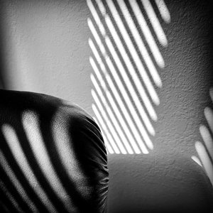 Light Form 11 by Susan Hacker Stang (2023)