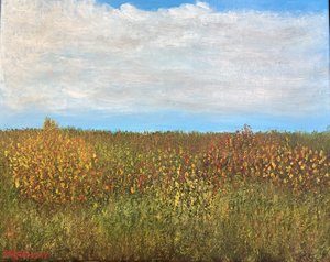 Rainbow Meadow by Douglas Gershuny (2026)