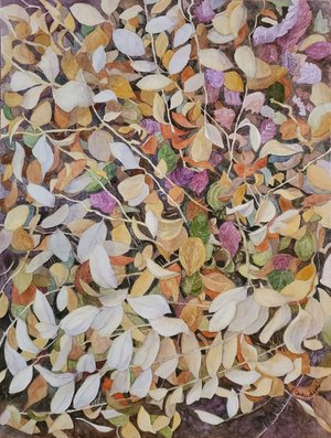Ground Level by Jackie Shields (2026)