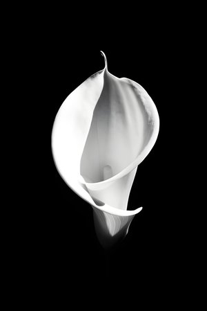 Stillness and silence by Melissa Knapp