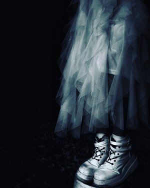 Midnight Tulle by Melissa Knapp