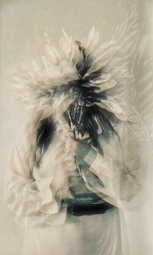 Where The spirit flowers by Melissa Knapp