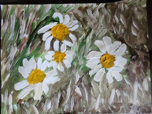 JanetSears'WildDaisies' by Janet Sears (2026)