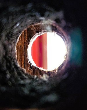 Chesterwood Eye of the Beam by Marie Smith