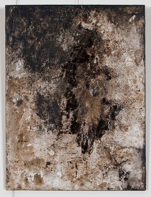 Julia Barbour