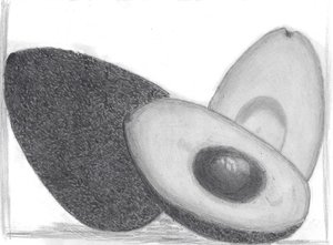 The Avocado by Bonni Draughon (2025)