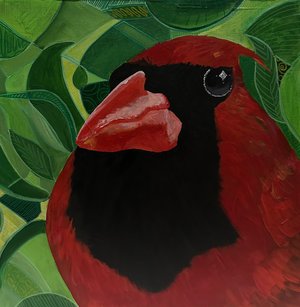 IMG 6477 Young Cardinal  by Jane E Callahan (2026)