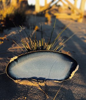 Oval Platter by Kim DeWall