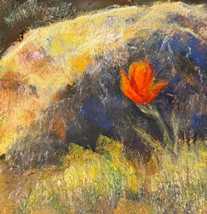 Volunteer Poppy by Rebecca Guinn