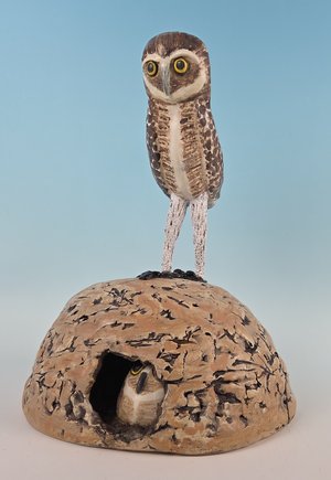 Burrowing Owl by Diane Delaney (2026)