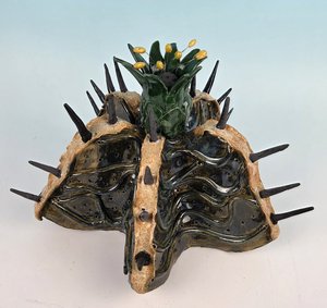 Spiky Cactus by Diane Delaney (2026)