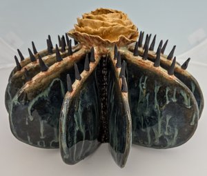 Veined Cactus by Diane Delaney (2026)